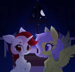 starry sky