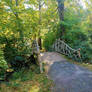 Petit pont