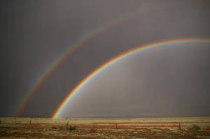 Shadow Rainbow