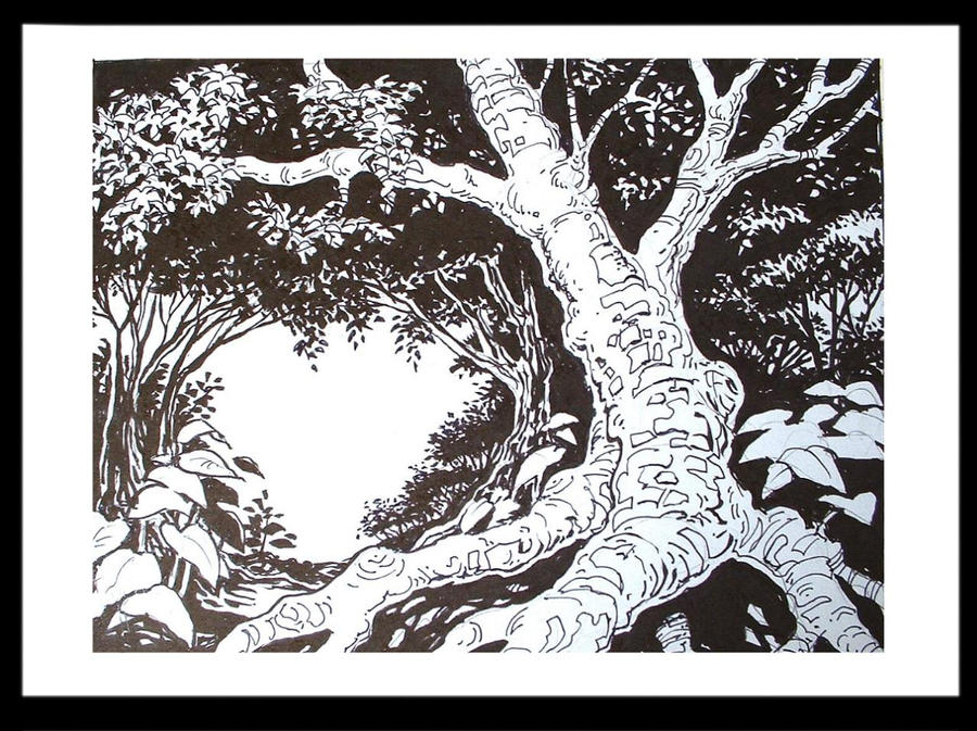 forest path by scratchmark on DeviantArt