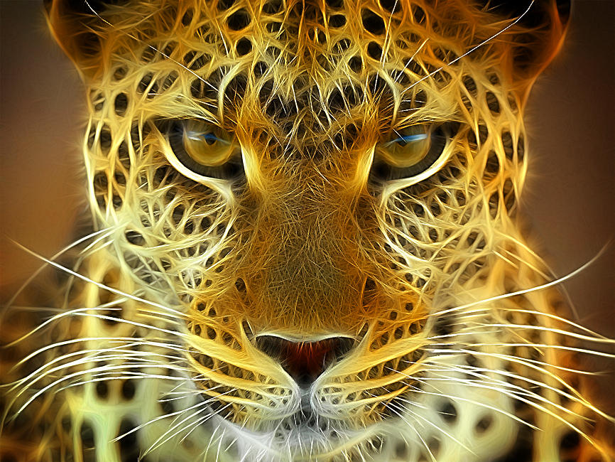 Leopard by Oceandeep76 on DeviantArt