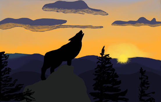 Sunset Wolf