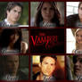 Vampire Diaries: The Main Cast