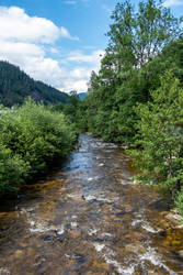 Black Forest River