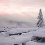 Snow-covered tables and benches