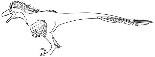 P2U Raptor Lineart by OrcinusKapros on DeviantArt