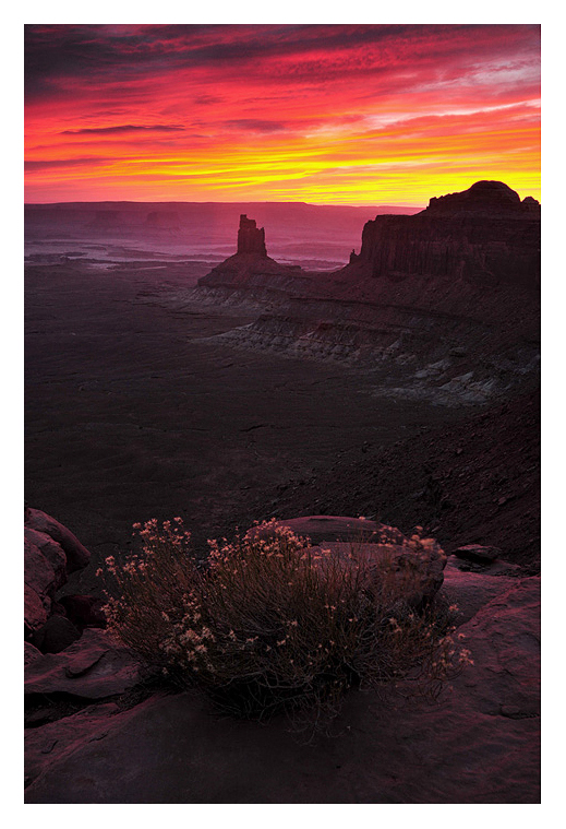 Canyonlands Sunset