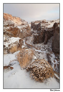 Succor Creek Canyon