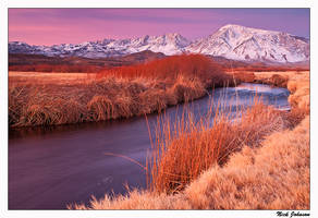 Owens River Dawn