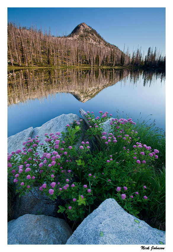 Marge Lake Reflection