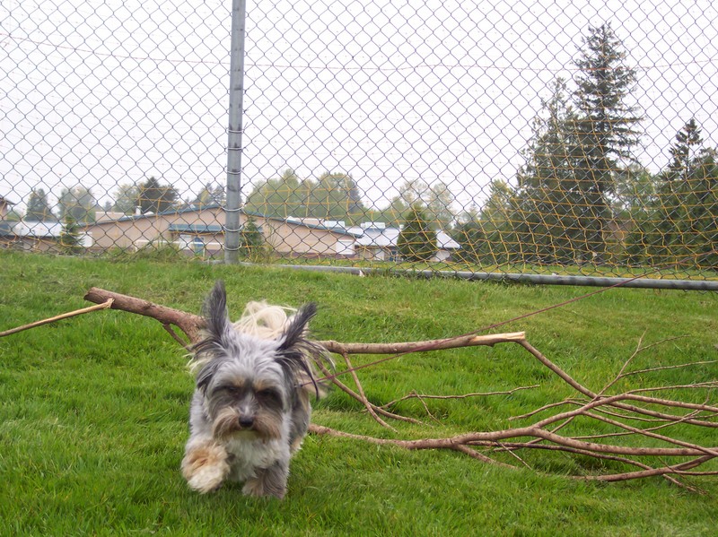 Zoe Jumping 3