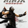 Ninja Gaiden: The Legend Continues