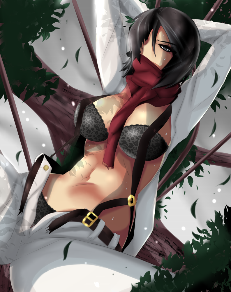 Mikasa