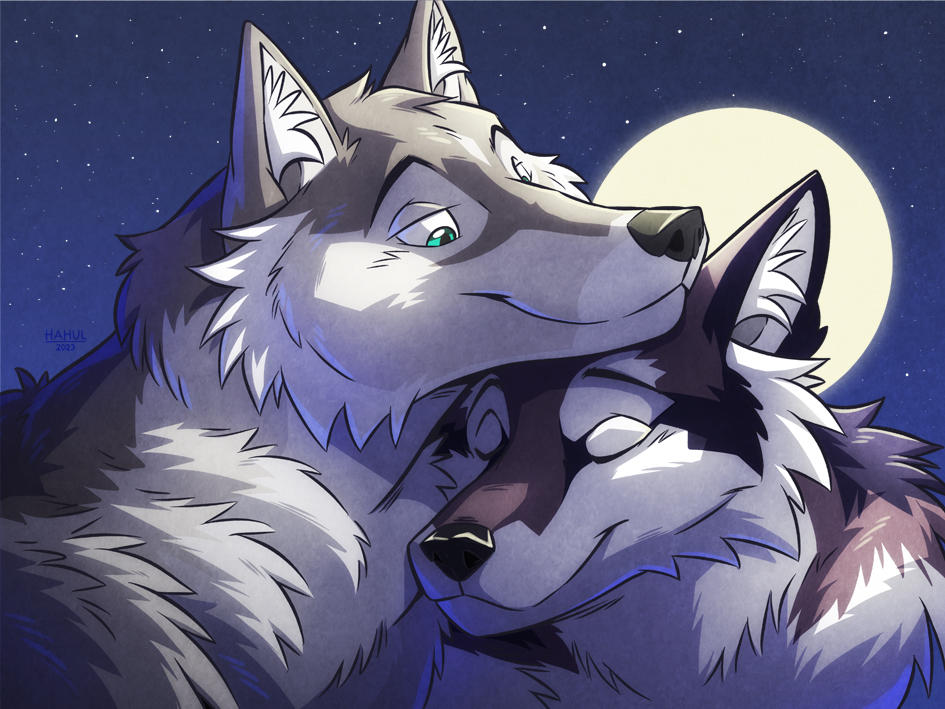 Two Wolves in Moonlight by artofhahul on DeviantArt