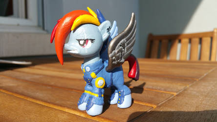 Rainbow dash the warrior