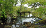 Japanese Water Garden by DarthIndy