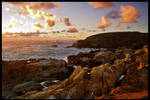 Point Lobos by LeGreg