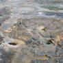 Yellowstone mineral pot