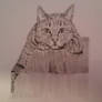 WIP of a silver tabby cat