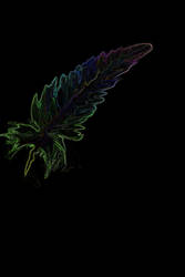 Neon Lights Feather