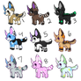 Cheap Adopts - 1 left