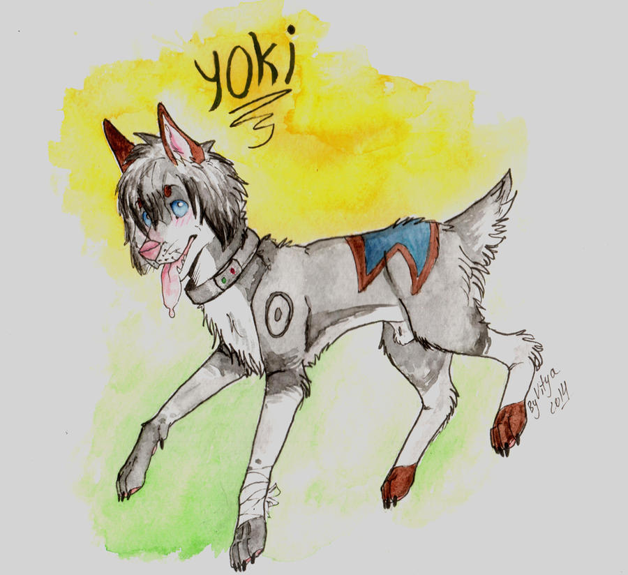 Yoki Humor YOKI by DoggyDogUshankaDog on DeviantArt