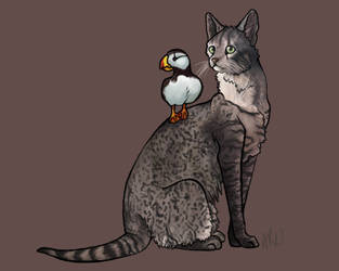 Mau + puffin.