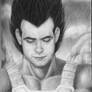 The Prince of Saiyans