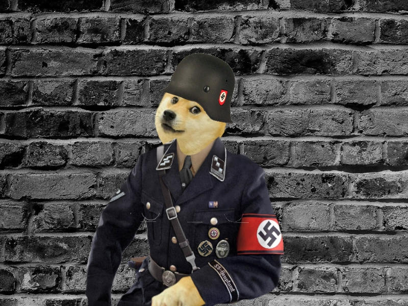 Немецкие пародии. Собака в немецкой форме. Доге в немецкой форме. Собака в нацистской форме.