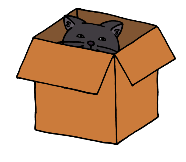 Box Cat