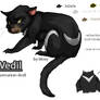 Vedil the tasmanian devil 2007