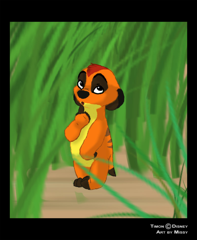 Baby Timon by Missy-MissQ on DeviantArt