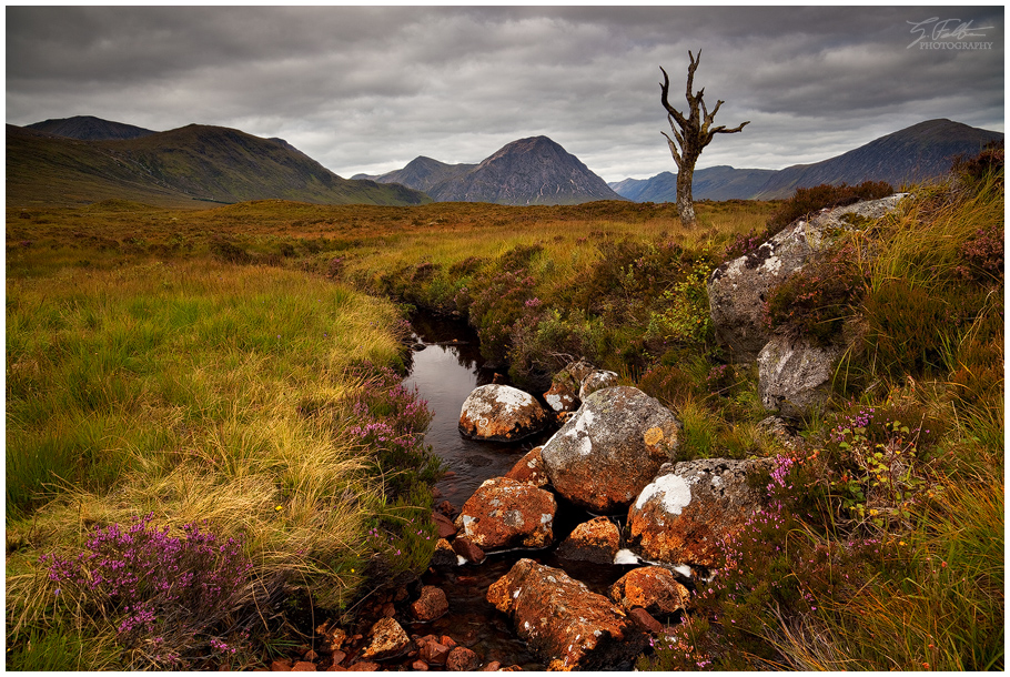 Rannoch Moor