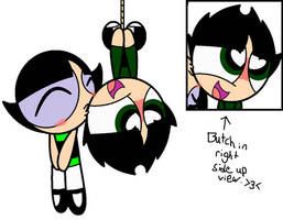 Gift for Butchercup34- Butchercup Fluff