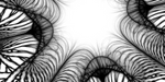 Julias Web by OutsideFate