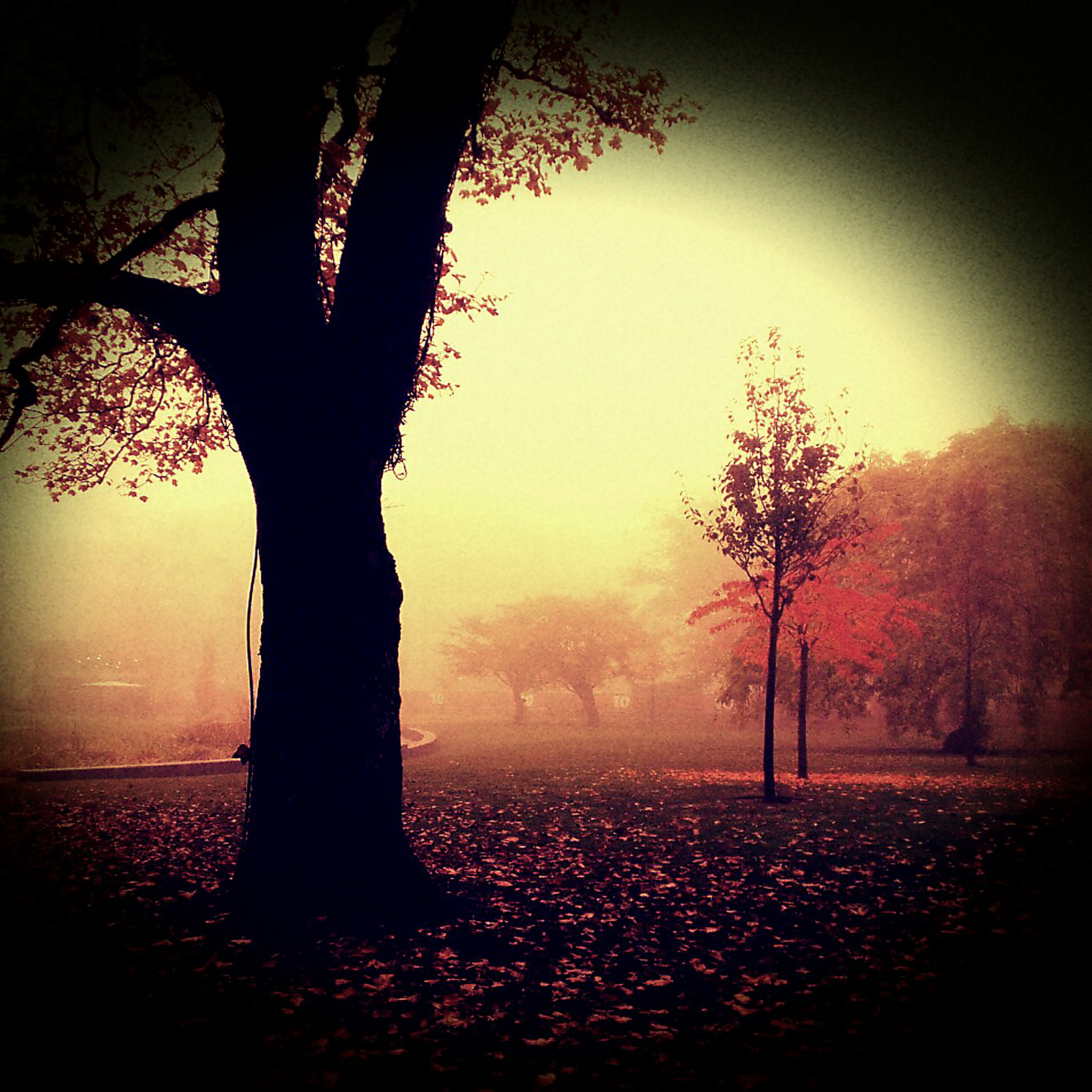 Autumn Melancholy