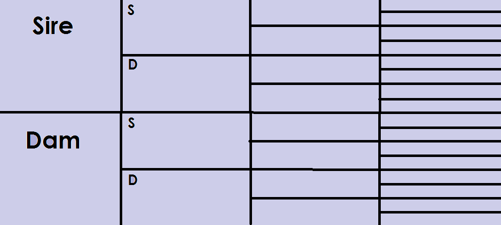 Pedigree Template