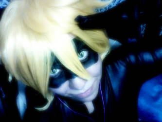 Chat Noir Cosplay