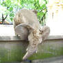 Elephant 6