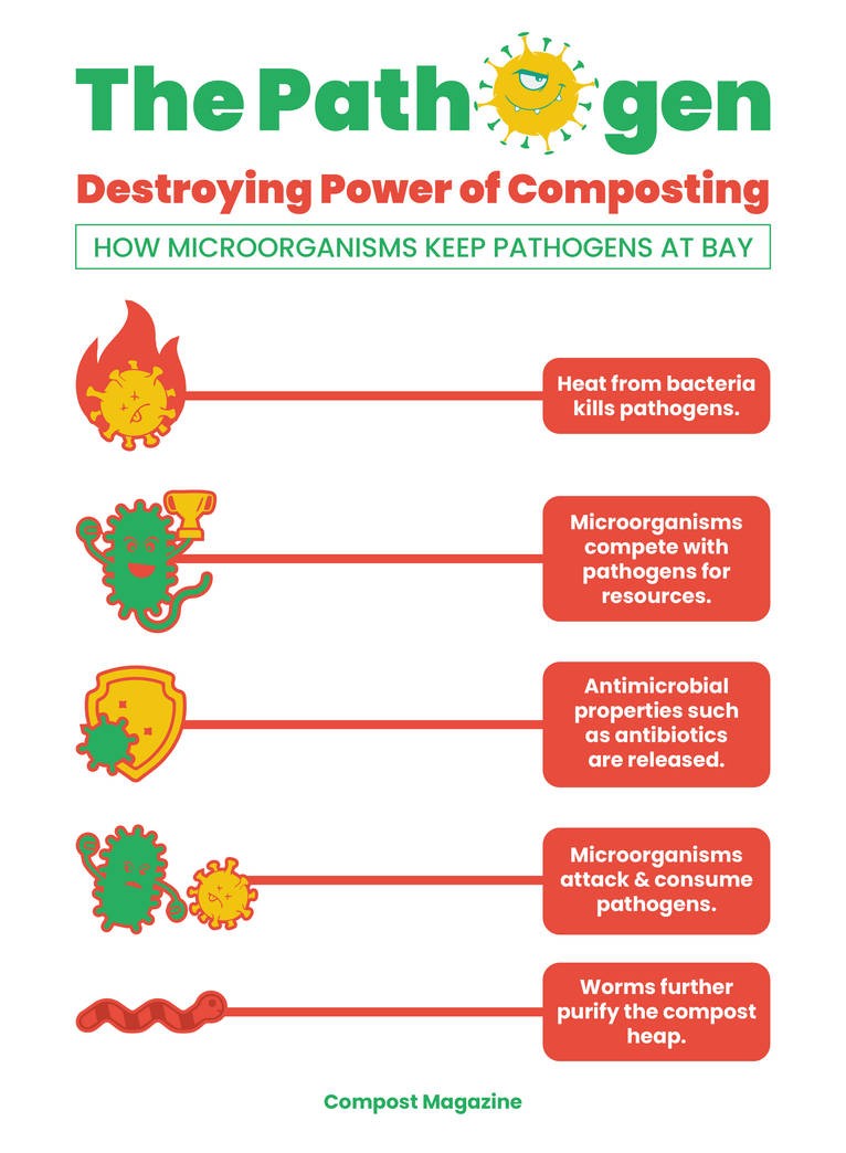 The Pathogen Infographic By GagasEzharR On DeviantArt