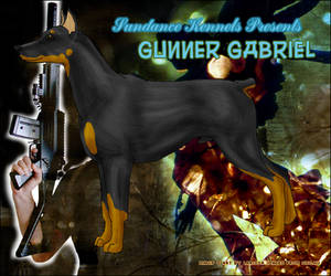 Gunner Gabriel