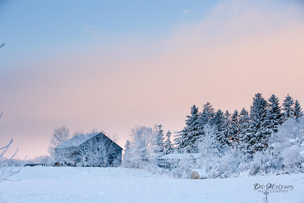 First Snowfall