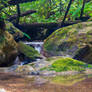 Purisima Creek Waterfall