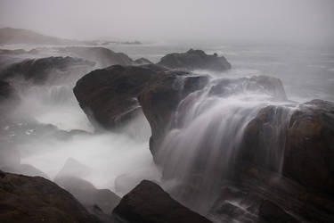 Stormy by FeralWhippet