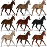 Lineaged foal auction (Rare bloodlines included!)