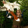 Link Has a Cucco