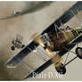 Pfalz DXII