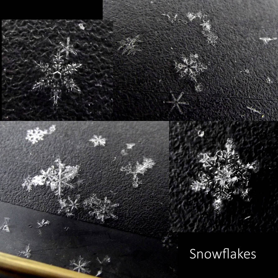 Snowflake Collage 2 by xXDamselFlyXx on DeviantArt