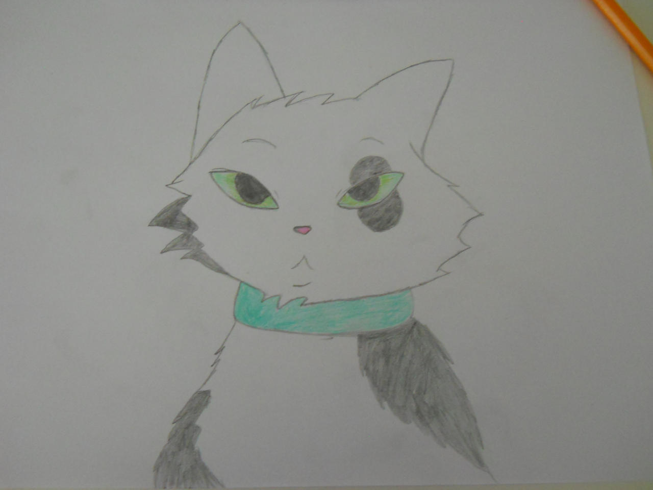 Smudge ssswarriorcats style