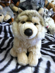 Teddy Hermann Timber Wolf Plush (Tipsy)